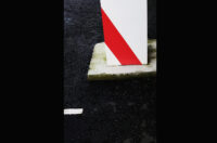 Codex Photograph 11