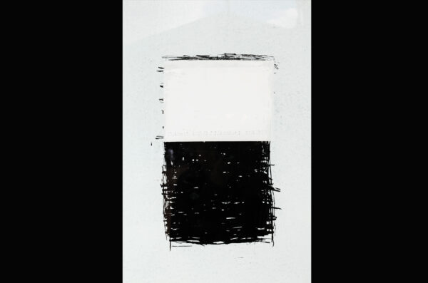 Codex Photograph 27