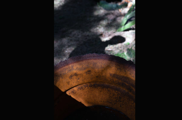 Far Beyond Photograph 13