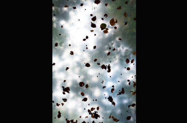 Far Beyond Photograph 14