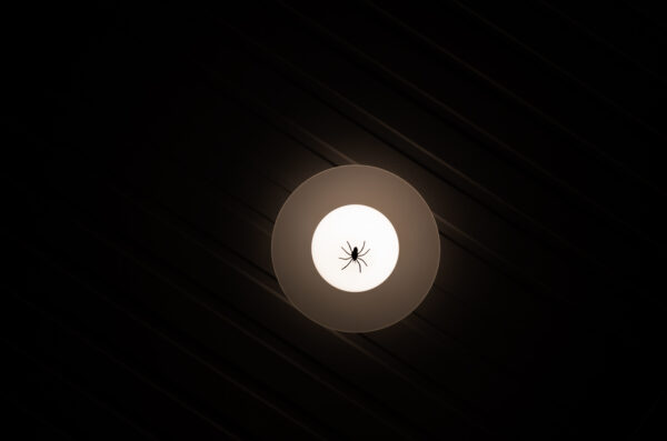 Far Beyond Photograph 25