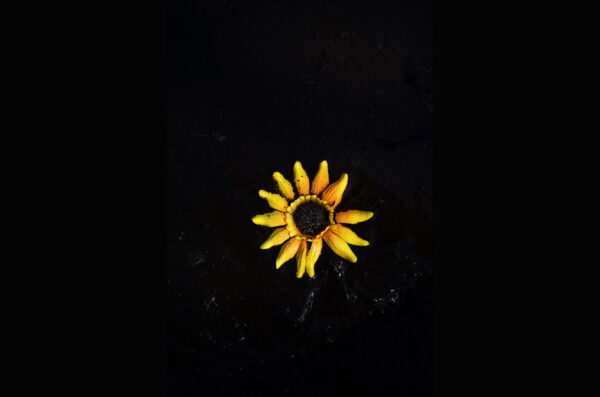 LOST Photograph 06