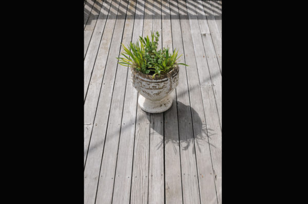 Pure Nature Photograph 19