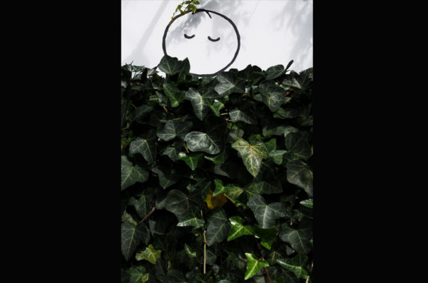 Pure Nature Photograph 28