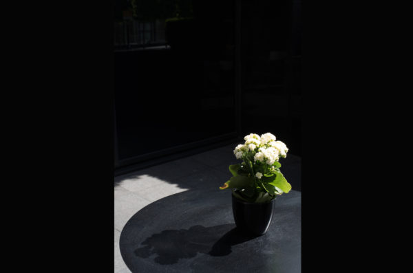 Slow Gaze Photograph 06