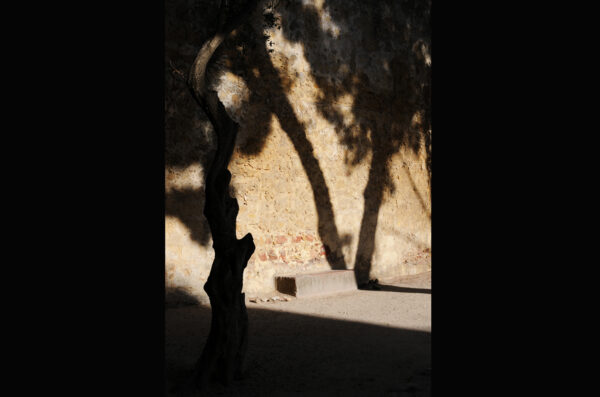 Stereo Photograph 03