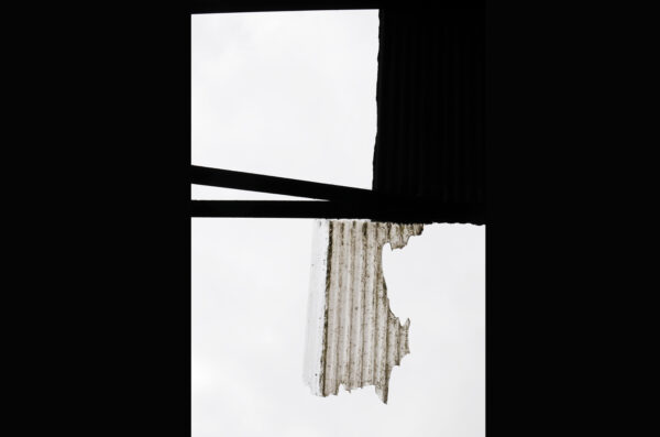 Stereo Photograph 28