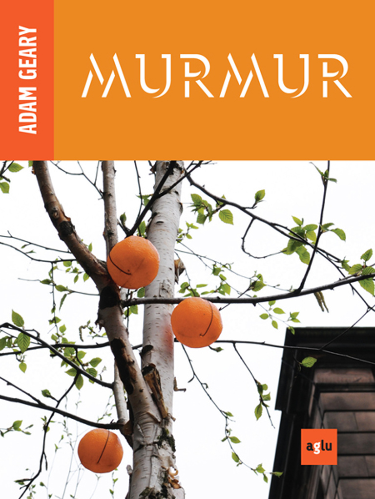 Murmur cover