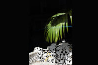 UTOPIA Photograph 06