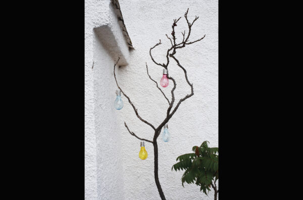 UTOPIA Photograph 37